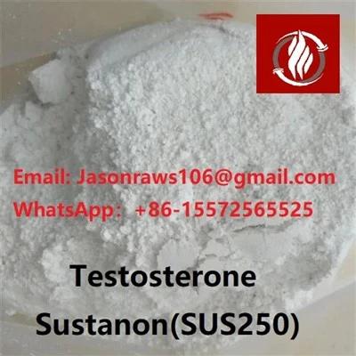 Testosteron Sustanon 250 poeder voor bodybuilding