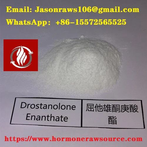 Drostanolone Enanthate Poeder Bodybuilding CAS:13425-31-5