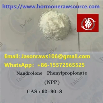 Nandrolonfenylpropionaat (Durabolin) voor bodybuilding CAS:62-90-8
