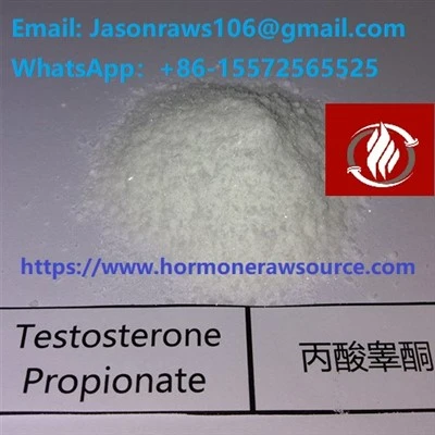 Testosteronpropionaatpoeder Bodybuilding CAS:57-85-2