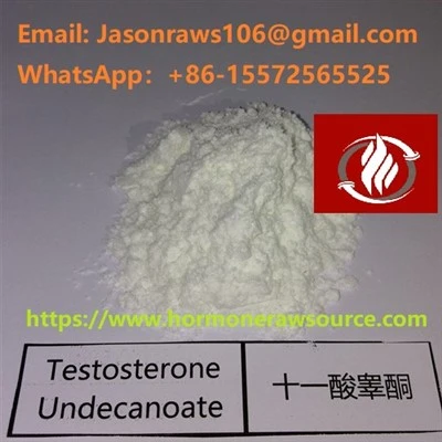 Testosteronundecanoaat Grondstofpoeder voor bodybuilding CAS: 5949-44-0